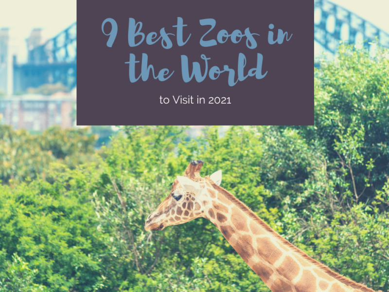 May 27: 9 Best Zoos in the World to Visit in 2021